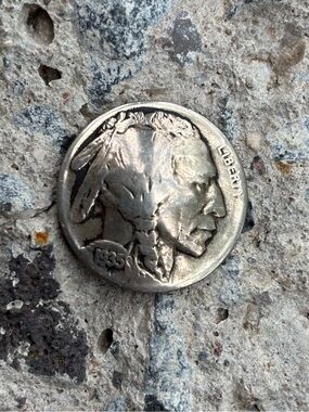 Vintage Buffalo Nickel Conch!